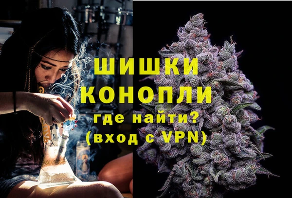 PSILOCYBIN Беломорск